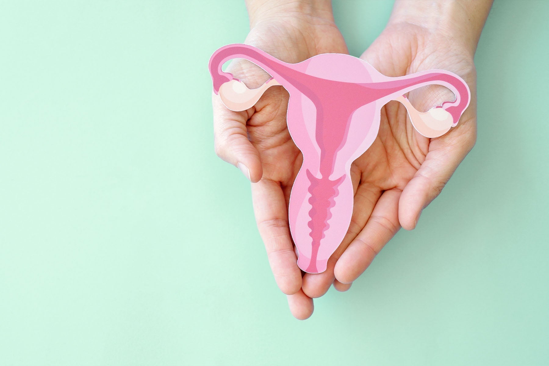 Hands holding a diagram of the female reproductive system on a color background.